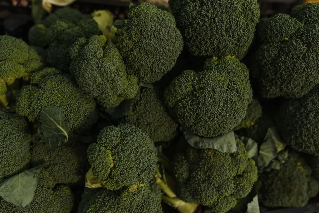 Brócolis frescos usados em receitas saudáveis e nutritivas.